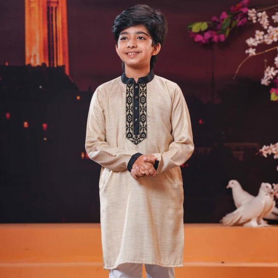 Boys Panjabi-30767